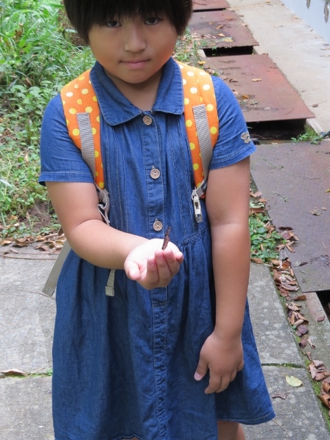 f0177529_06461446.jpg
