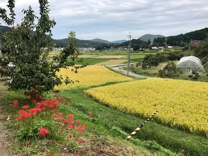 六甲山と瀬織津姫 191 丹生都比売に繋がる_a0300530_16164006.jpg