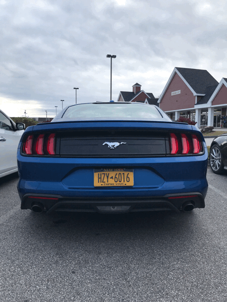 b0139233_19131685.gif
