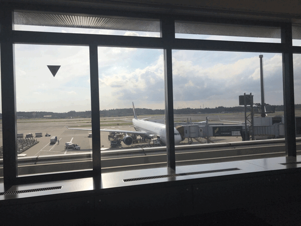 b0139233_19255157.gif