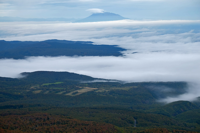e0362634_20331177.jpg