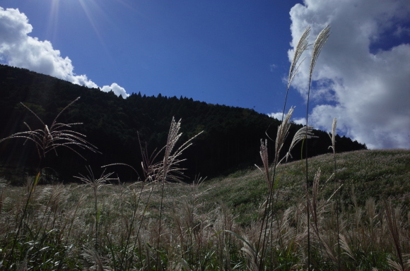 a0287336_19283395.jpg