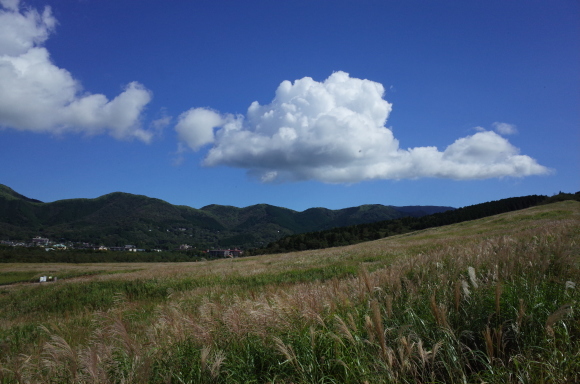 a0287336_19284289.jpg