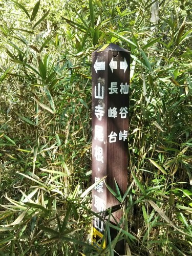 クリーンハイク・杣谷_c0218841_15012528.jpg