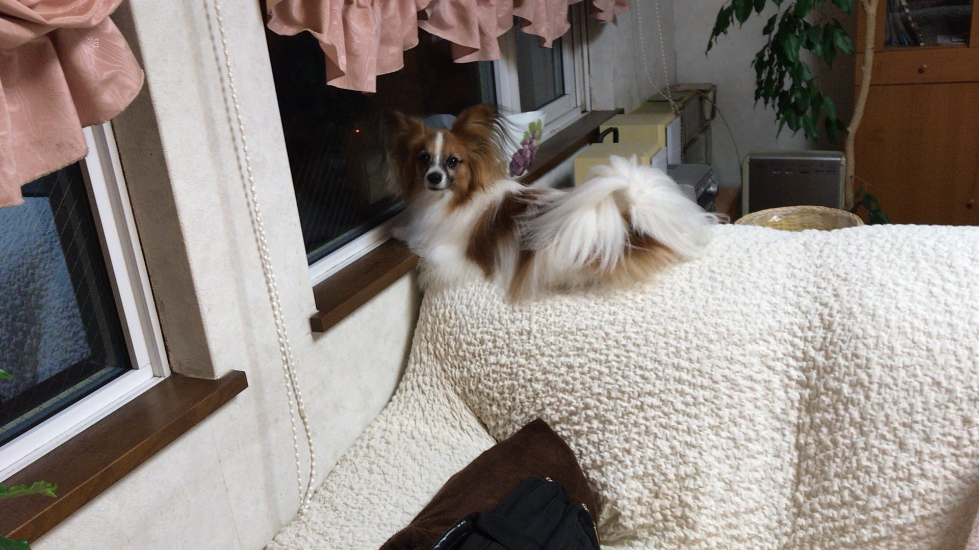 c0335145_01052243.jpeg