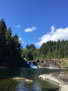 エルク・フォールズ州立公園　(Elk Falls Provincial Park)_e0271847_13464802.jpg