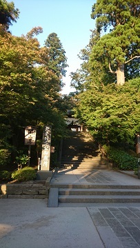 f0087347_08472783.jpg