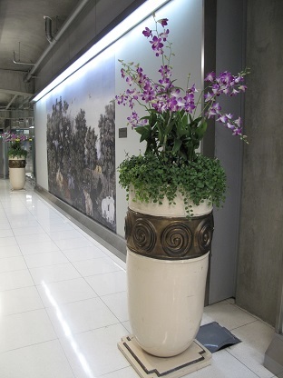 a0094449_05241116.jpg