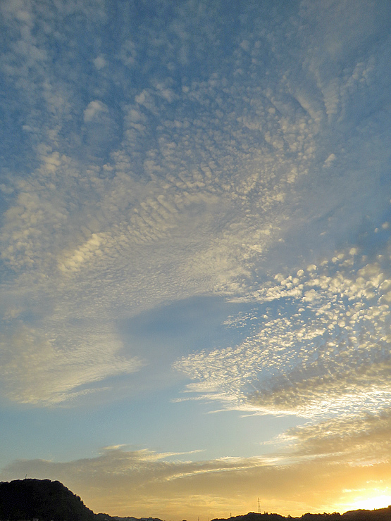初霧_f0214649_02244681.jpg