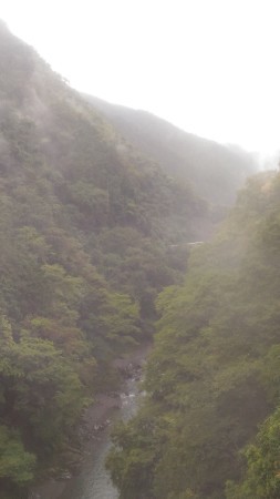 a0068350_06593554.jpg