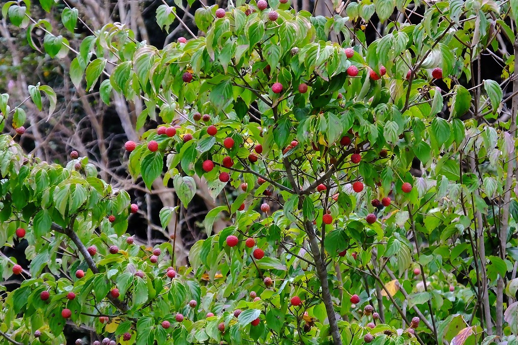 b0236251_08480415.jpg
