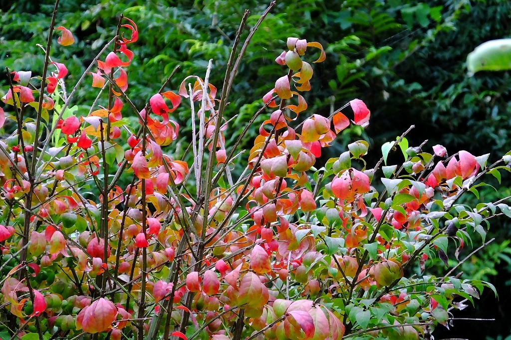b0236251_08511239.jpg