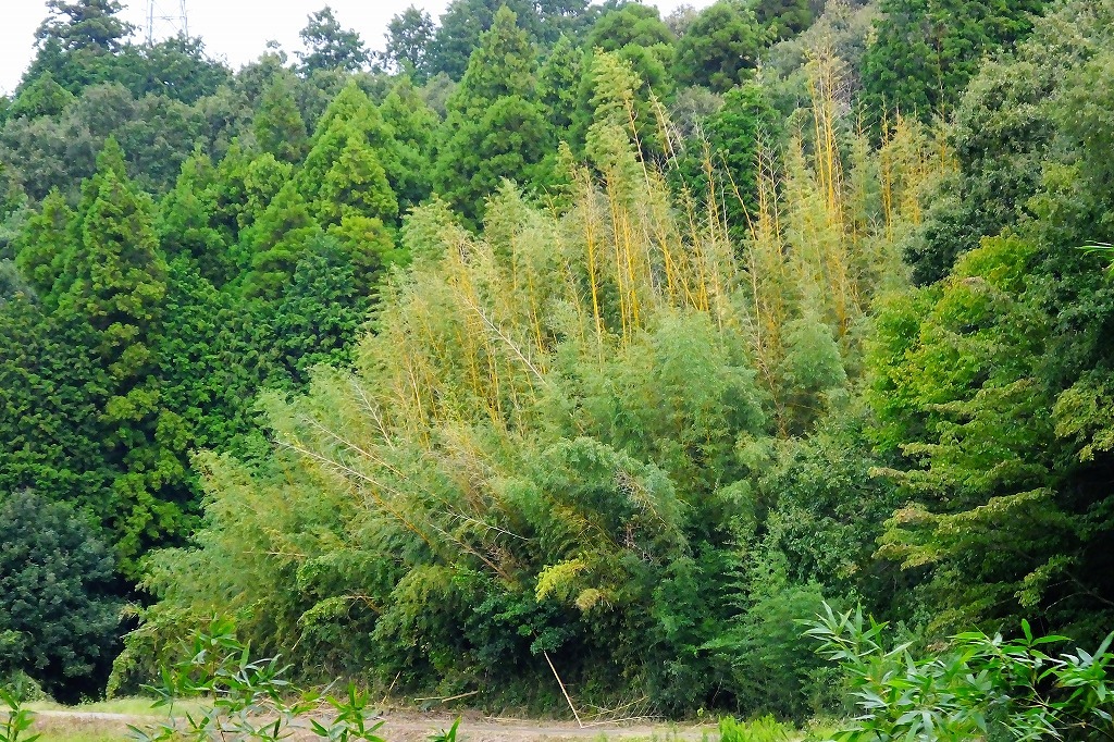 b0236251_08513266.jpg