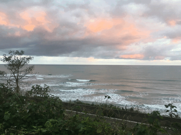 c0254151_05530510.gif