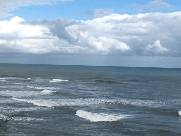 c0254151_05562083.gif