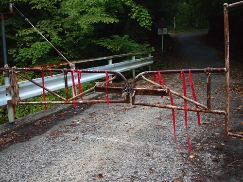 b0319255_17101857.jpg