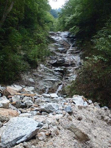 b0319255_17163522.jpg