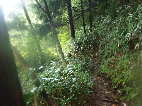 b0319255_22232459.jpg