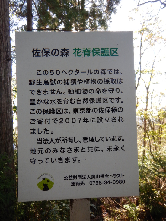 d0231858_15282426.jpg
