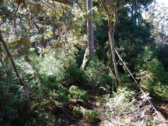 d0231858_1650054.jpg