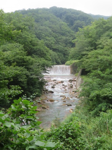 b0301459_05542844.jpg