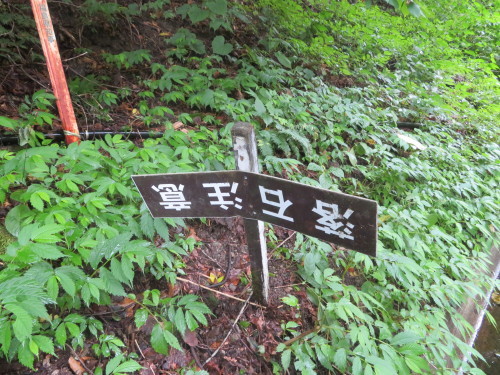 b0301459_05582734.jpg