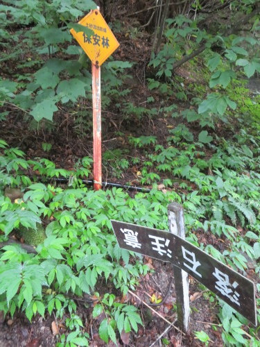 b0301459_06101015.jpg