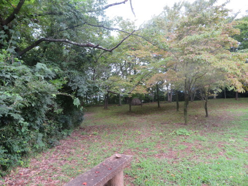 b0301459_13572843.jpg