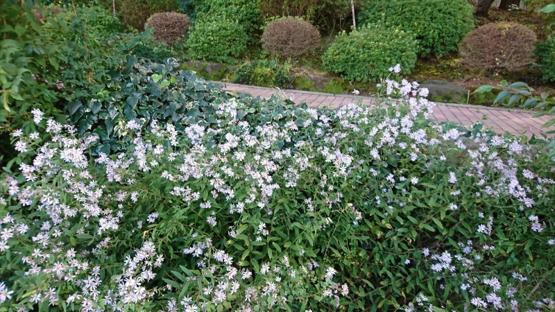 c0084760_17151758.jpg