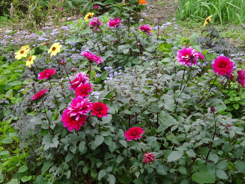 c0108460_13425600.jpg