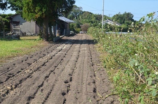 f0186462_00055549.jpg