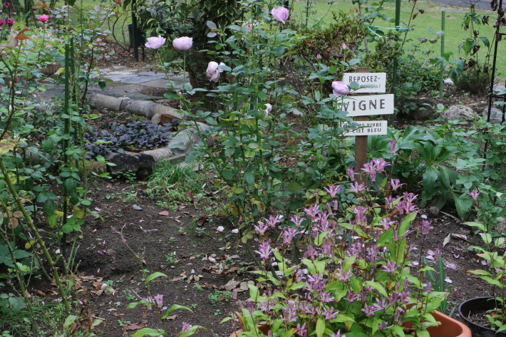 f0345263_23125317.jpg