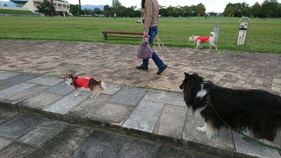 10・7 森林公園_b0150665_08034197.jpg