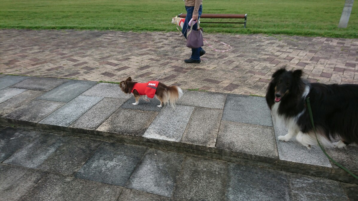 10・7 森林公園_b0150665_08034206.jpg