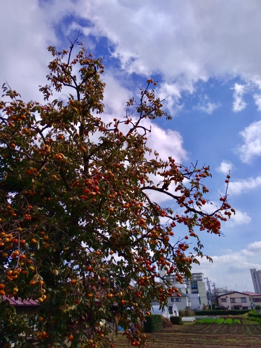 b0037867_21041830.jpeg