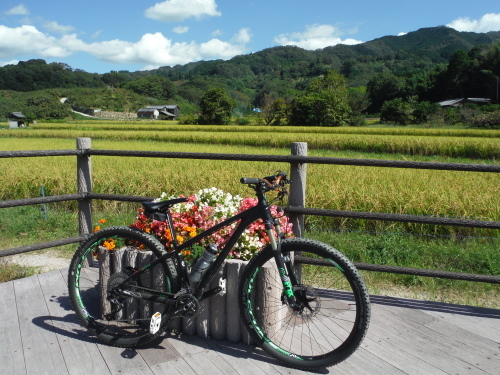 山の辺の道　ＭＴＢサイクリング_b0332867_00083434.jpg