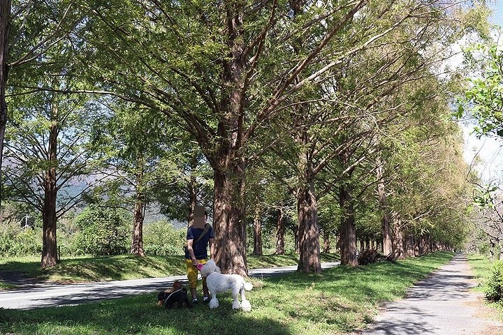 b0111376_12340627.jpg