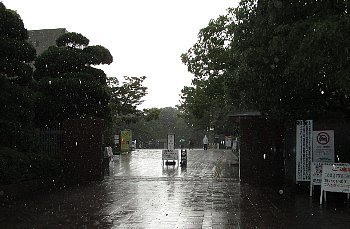 f0003283_22124527.jpg