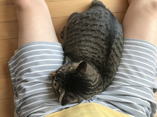 c0340786_07352240.jpeg