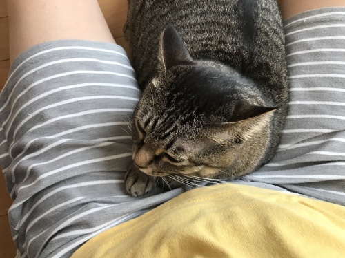 c0340786_07355268.jpeg