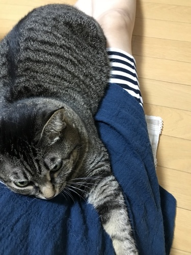 c0340786_07373711.jpeg