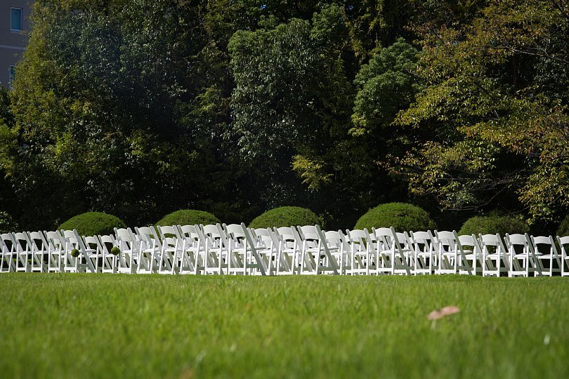 Invisible Man\'s Wedding On Sunny Lawn_d0353489_19361835.jpg