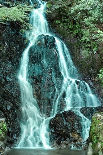 e0176993_09493069.jpg