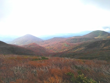 a0261695_14274625.jpg