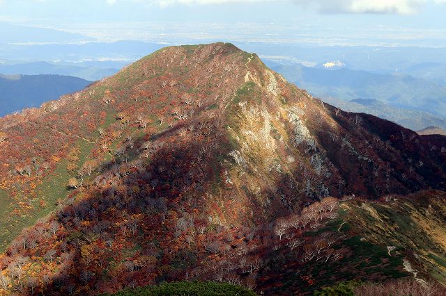 e0137200_20223425.jpg