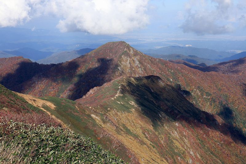 e0137200_20241322.jpg