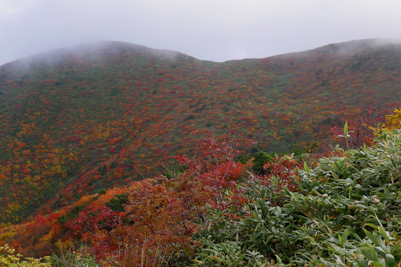 栗駒山登山　その2_d0161702_19004520.jpg