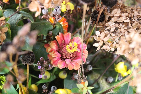 c0178009_23105269.jpg