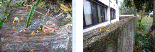 f0231709_18544946.gif