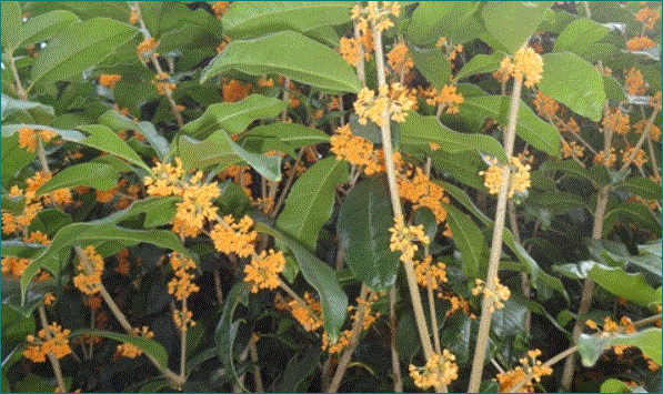 f0231709_19051054.gif